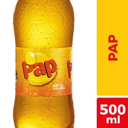 BEBIDA PAP REGULAR BOTELLA 500CC