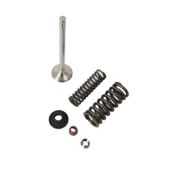 KIT VÁLVULA DE ESCAPE (UNIDAD)