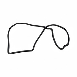 EMPAQUETADURA CARTER MOTOR