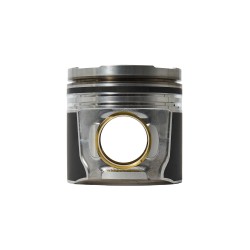 PISTON MOTOR 202V02511-0685