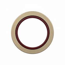 GOLILLA TAPON CARTER MOTOR